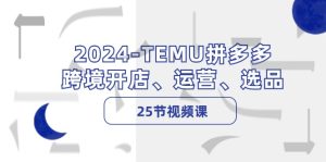 (12106期)2024-TEMU拼多多·跨境开店、运营、选品(25节视频课)-理想项目库