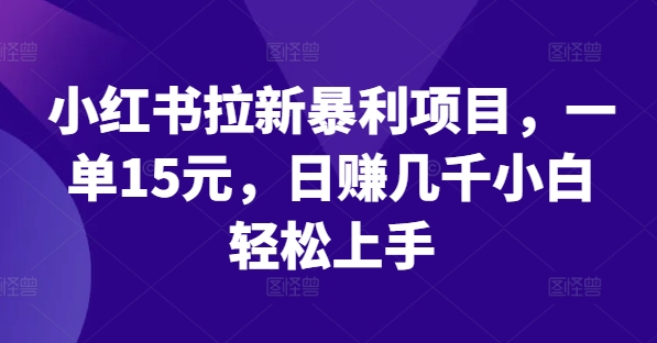 小红书拉新暴利项目，一单15元，日赚几千小白轻松上手-理想项目库