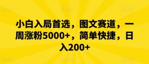 小白入局首选，图文赛道，一周涨粉5000+，简单快捷，日入200+-理想项目库