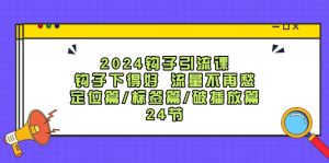 2024钩子引流课：钩子下得好流量不再愁，定位篇/标签篇/破播放篇/24节-理想项目库