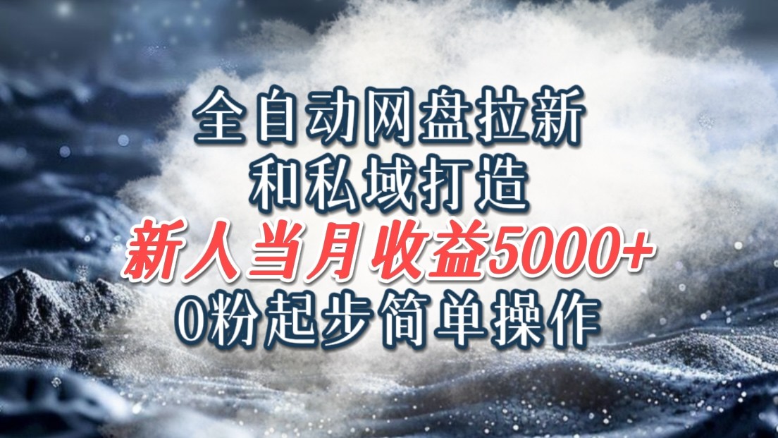 全自动网盘拉新和私域打造，0粉起步简单操作，新人入门当月收益5000以上-理想项目库