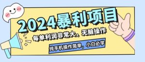 (12130期)2024暴利项目,每单利润非常大,无脑操作,纯手机操作简单,小白必学项目-理想项目库