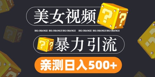 搬运tk美女视频全网分发，日引s粉300+，轻松变现，不限流量不封号-理想项目库