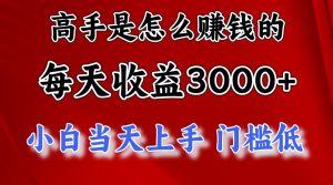 (12144期)1天收益3000+,月收益10万以上,24年8月份爆火项目-理想项目库