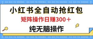 (12151期)最新小红书全自动抢红包,单号一天50+  矩阵操作日入300+,纯无脑操作-理想项目库