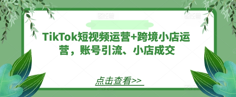 TikTok短视频运营+跨境小店运营，账号引流、小店成交-理想项目库