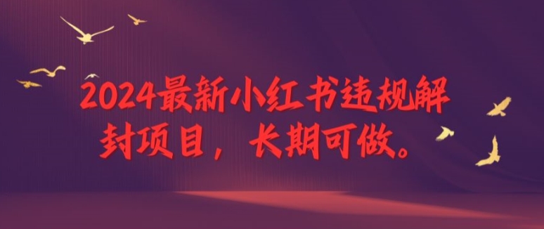 2024最新小红书违规解封项目，长期可做，一个可以做到退休的项目-理想项目库