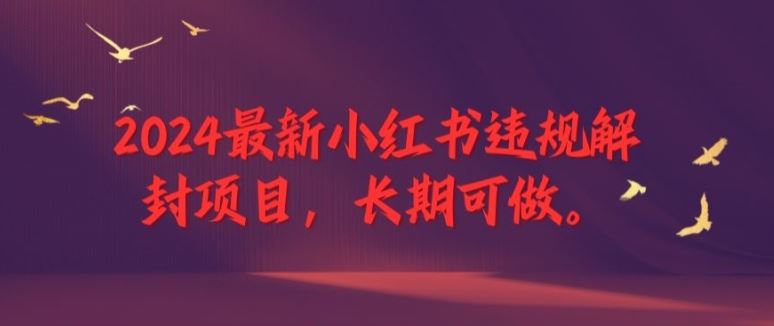 2024最新小红书违规解封项目，长期可做，一个可以做到退休的项目【揭秘】-理想项目库
