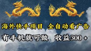 (12175期)海外快手项目,利用工具全自动看广告,每天轻松 300+-理想项目库