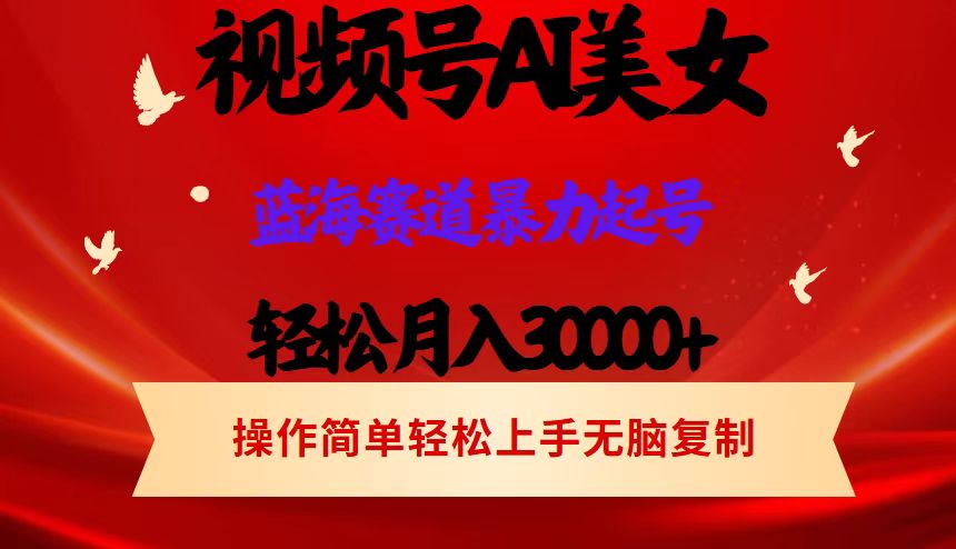 （12178期）视频号AI美女跳舞，轻松月入30000+，蓝海赛道，流量池巨大，起号猛，当…-理想项目库