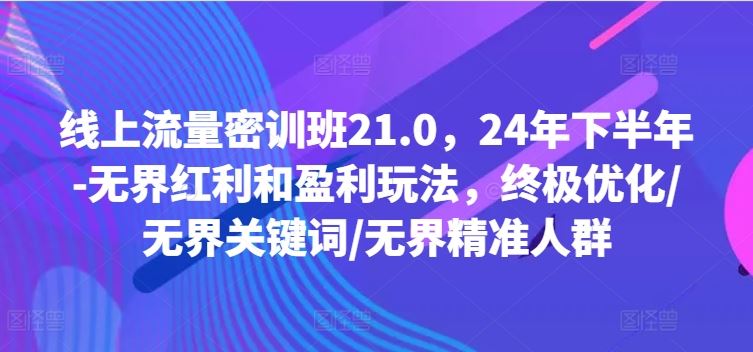 线上流量密训班21.0，24年下半年-无界红利和盈利玩法，终极优化/无界关键词/无界精准人群-理想项目库
