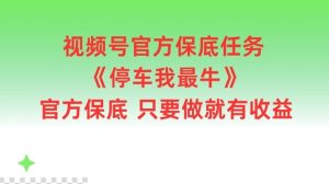 视频号官方保底任务，停车我最牛，官方保底只要做就有收益【揭秘】-理想项目库