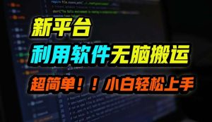 (12203期)B站平台用软件无脑搬运,月赚10000+,小白也能轻松上手-理想项目库