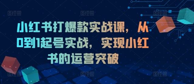 小红书打爆款实战课，从0到1起号实战，实现小红书的运营突破-理想项目库