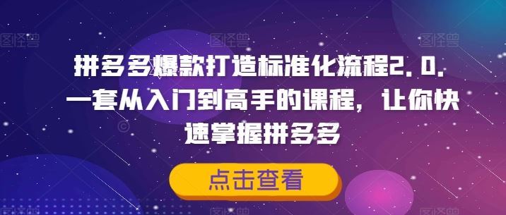 拼多多爆款打造标准化流程2.0，一套从入门到高手的课程，让你快速掌握拼多多-理想项目库