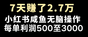 七天赚了2.7万！每单利润最少500+，轻松月入5万+小白有手就行-理想项目库