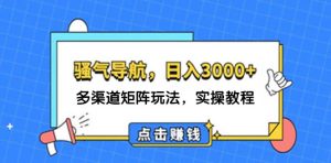 (12255期)日入3000+ 骚气导航,多渠道矩阵玩法,实操教程-理想项目库