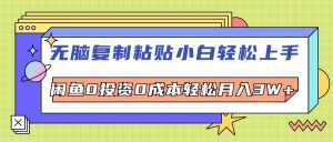 (12258期)无脑复制粘贴,小白轻松上手,电商0投资0成本轻松月入3W+-理想项目库