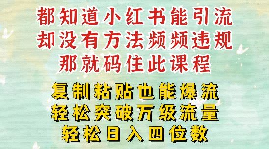 小红书靠复制粘贴一周突破万级流量池干货，以减肥为例，每天稳定引流变现四位数【揭秘】-理想项目库