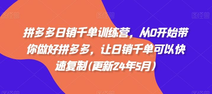 拼多多日销千单训练营，从0开始带你做好拼多多，让日销千单可以快速复制(更新24年8月)-理想项目库