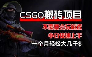 (12332期)CSGO 装备搬砖项目,操作简单,不需要会玩游戏,小白也能快速上手,一…-理想项目库