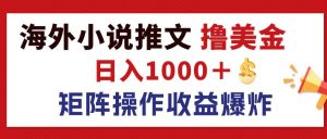 (12333期)最新海外小说推文撸美金,日入1000+ 蓝海市场,矩阵放大收益爆炸-理想项目库