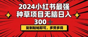 (12336期)2024小红书最强种草项目,无脑日入300+,复制粘帖即可,多劳多得-理想项目库