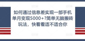如何通过信息差实现一部手机单月变现5000+?简单无脑搬砖玩法,快看看适不适合你【揭秘】-理想项目库
