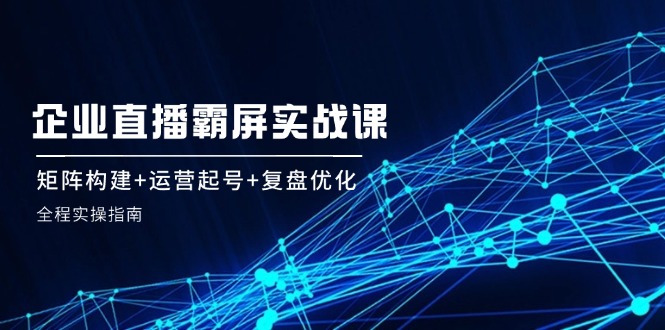 企业直播霸屏实战课：矩阵构建+运营起号+复盘优化，全程实操指南-理想项目库
