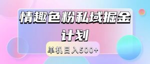 2024情趣色粉私域掘金天花板日入500+后端自动化掘金-理想项目库