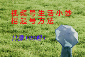 视频号生活小妙招分享赛道, 起号涨粉新方法,日涨100粉-理想项目库