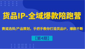 货品IP-全域爆款陪跑营【第4期】赛道选择/产品策划,手把手教你打造货品IP,爆款不断-理想项目库