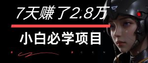 7天赚了2.8万!每单利润最少500+,轻松月入7万+小白有手就行-理想项目库