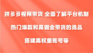拼多多视频带货 全面了解平台机制、热门爆款和高佣金带货的选品，搭建高权重账号等-理想项目库