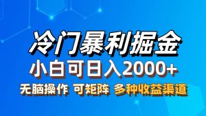 (12440期)最新冷门蓝海项目,无脑搬运,小白可轻松上手,多种变现方式,一天十几…-理想项目库