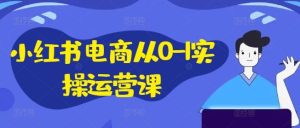小红书电商从0-1实操运营课,小红书手机实操小红书/IP和私域课/小红书电商电脑实操板块等-理想项目库