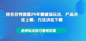 拼多多特训营24年爆破流玩法，产品决定上限，方法决定下限，各种玩法技巧落地实操-理想项目库