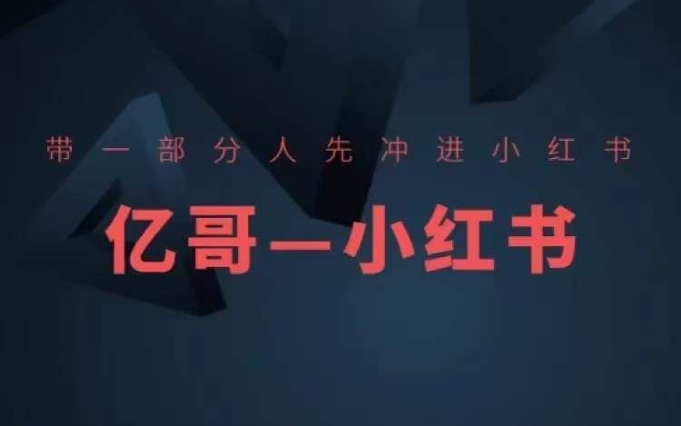 ​​带一部分人先冲进小红书，小红书开店、选品、爆款裂变-理想项目库