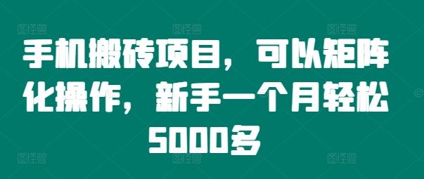 手机搬砖项目，可以矩阵化操作，新手一个月轻松5000多-理想项目库