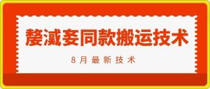 抖音96万粉丝账号【嫠㵄㚣】同款搬运技术-理想项目库