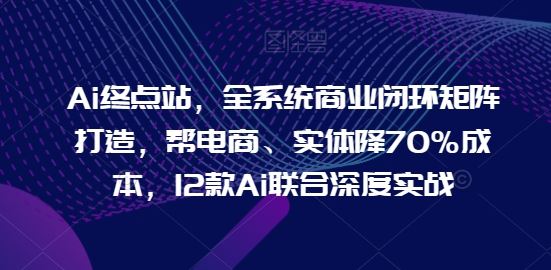 Ai终点站，全系统商业闭环矩阵打造，帮电商、实体降70%成本，12款Ai联合深度实战【0906更新】-理想项目库