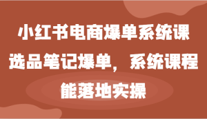 小红书电商爆单系统课-选品笔记爆单，系统课程，能落地实操-理想项目库