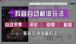 抖音自动截流玩法,利用一个软件自动采集、评论、点赞、私信,全域引流-理想项目库