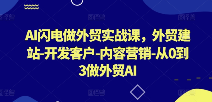 AI闪电做外贸实战课，​外贸建站-开发客户-内容营销-从0到3做外贸AI(更新)-理想项目库