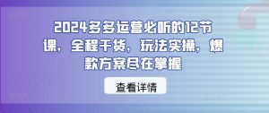 2024多多运营必听的12节课,全程干货,玩法实操,爆款方案尽在掌握-理想项目库