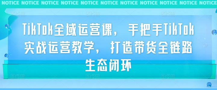 TikTok全域运营课，手把手TikTok实战运营教学，打造带货全链路生态闭环-理想项目库