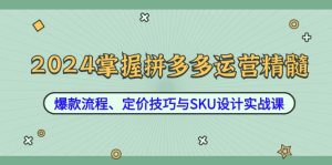 2024掌握拼多多运营精髓:爆款流程、定价技巧与SKU设计实战课-理想项目库