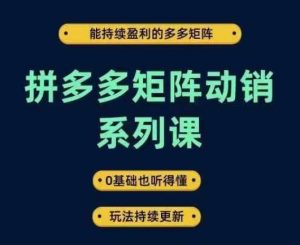 拼多多矩阵动销系列课，能持续盈利的多多矩阵，0基础也听得懂，玩法持续更新-理想项目库