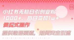 小红书无脑每日引流创业粉500+，小白每天只花半小时，躺赚长尾收益【揭秘】-理想项目库
