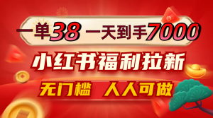 一单38,一天到手7000+,小红书福利拉新,0门槛人人可做-理想项目库
